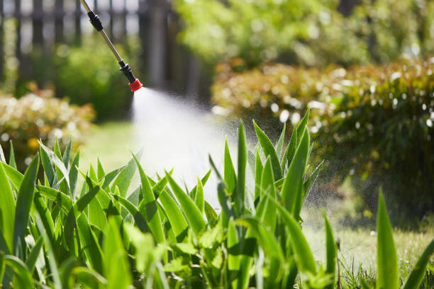 24/7 Emergency Wasp Removal experts in Merrionette Park, IL
