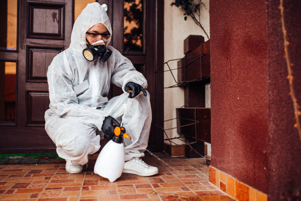 Reliable Wasp Removal contractor in Merrionette Park, IL by Show Me Pest Control
