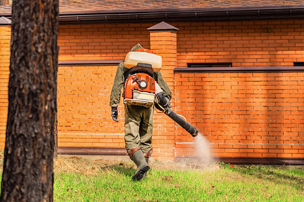 Top rated local Wasp Removal specialists in Merrionette Park, IL